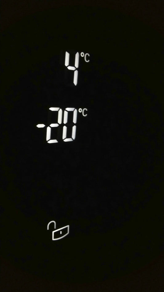 Temperature clock showing -20 and 4 degrees.