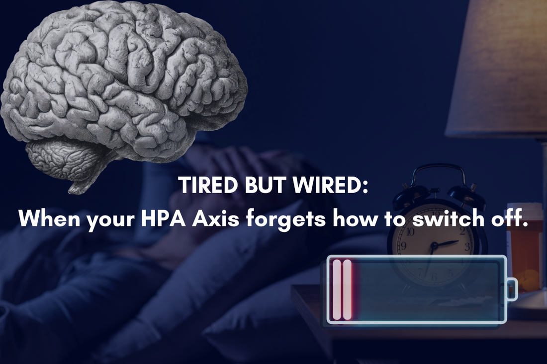 Illustration of a physically exhausted battery beneath an overactive, glowing orange brain, representing HPA axis dysregulation.