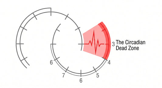 Conceptual clinical diagram highlighting the Circadian Dead Zone between 3 AM and 5 AM, illustrating the biological trap of premature adrenaline spikes and sleep fragmentation.