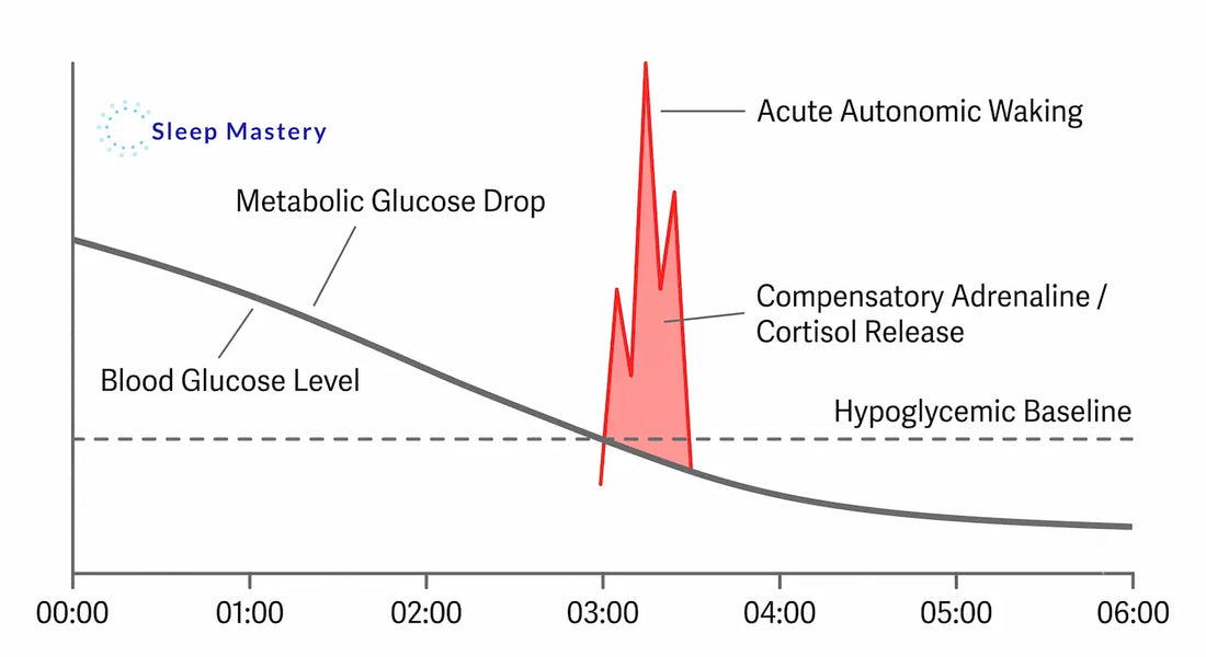 Clinical medical data graph illustrating midnight hypoglycemia, demonstrating how a drop in blood glucose triggers a compensatory adrenaline and cortisol spike that causes acute 3 AM night waking.