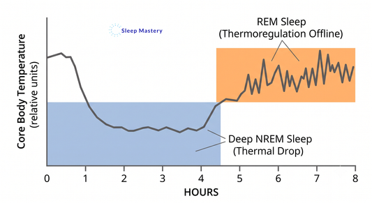 Clinical graph illustrating the optimal sleep temperature drop required to enter deep NREM sleep compared to REM sleep thermoregulation.