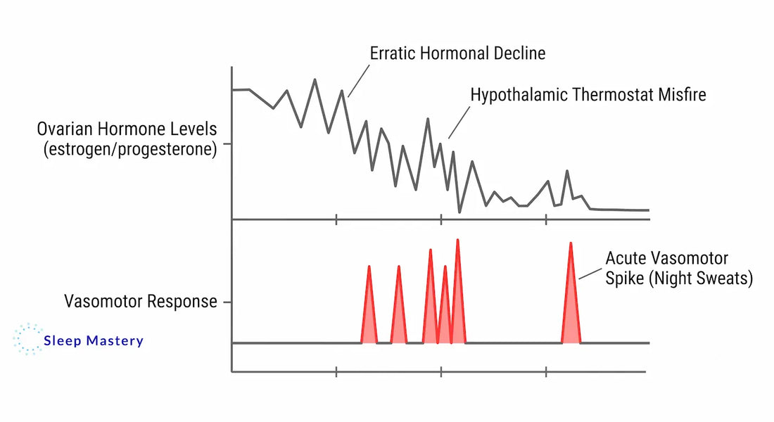 Clinical medical data graph illustrating perimenopause sleep disruption, demonstrating how erratic drops in estrogen and progesterone trigger a hypothalamic misfire and acute vasomotor spikes resulting in night sweats.
