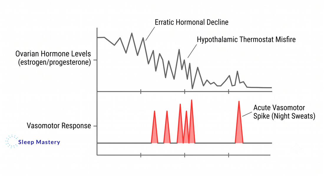 Clinical medical data graph illustrating perimenopause sleep disruption, demonstrating how erratic drops in estrogen and progesterone trigger a hypothalamic misfire and acute vasomotor spikes resulting in night sweats.