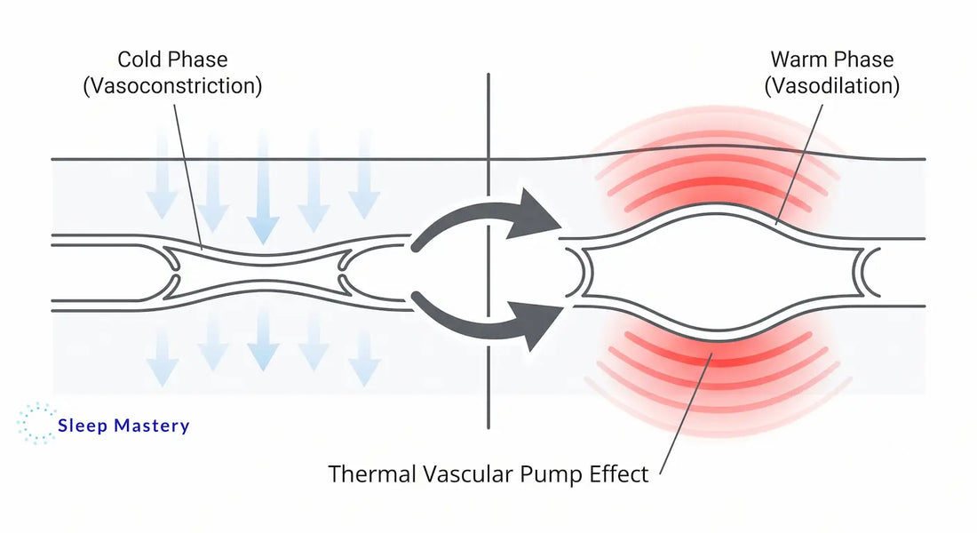 Clinical medical diagram explaining the thermal contrast protocol for sleep, demonstrating the vascular pump effect by showing alternating phases of vasoconstriction and vasodilation.