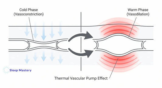 Clinical medical diagram explaining the thermal contrast protocol for sleep, demonstrating the vascular pump effect by showing alternating phases of vasoconstriction and vasodilation.