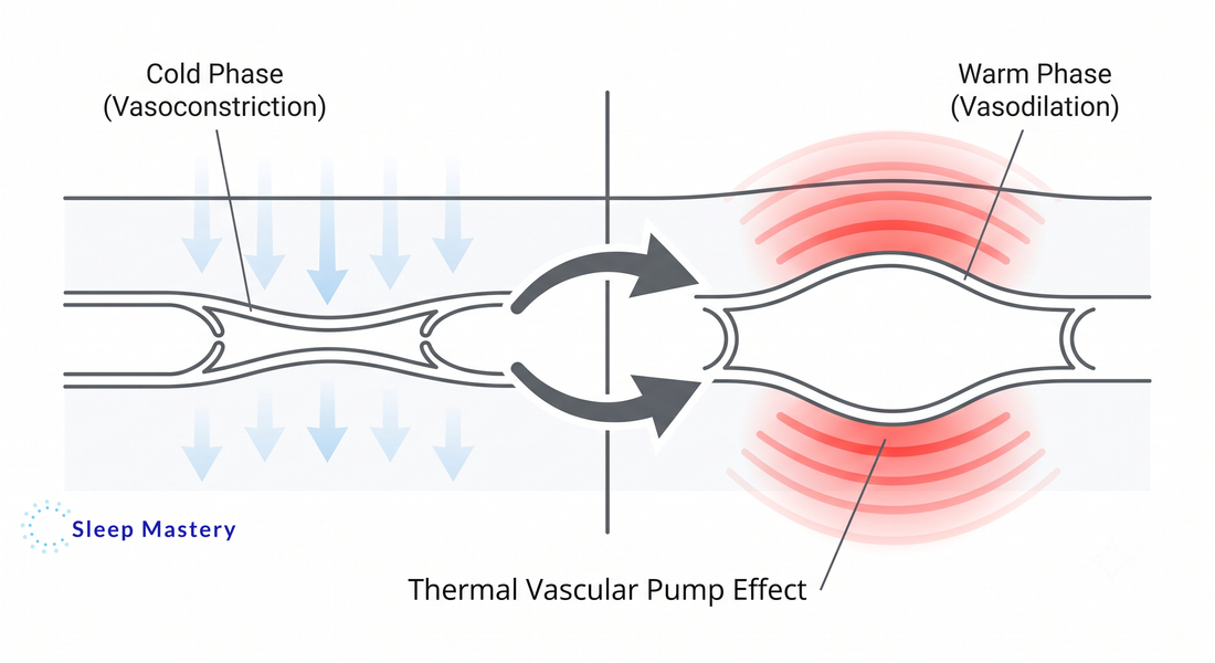 Clinical medical diagram explaining the thermal contrast protocol for sleep, demonstrating the vascular pump effect by showing alternating phases of vasoconstriction and vasodilation.